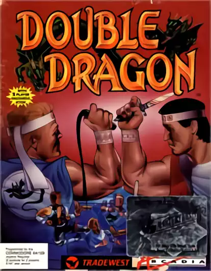 Image n° 1 - box : Double Dragon