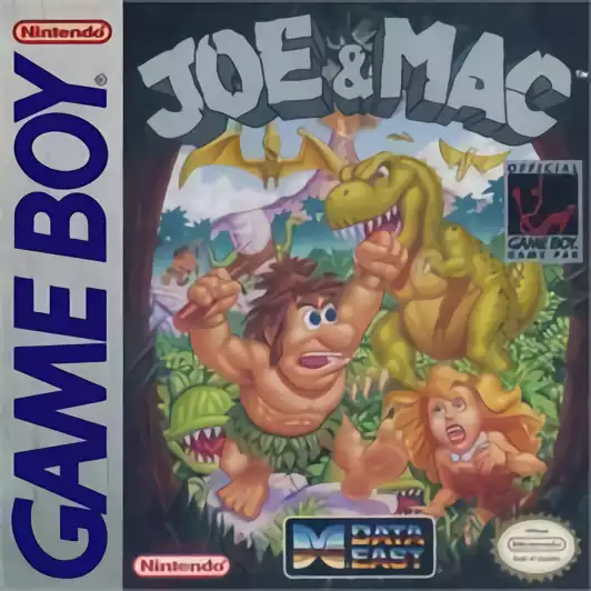 Image n° 1 - box : Joe & Mac - Caveman Ninja