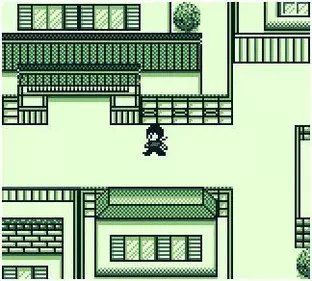 Image n° 3 - screenshots  : Ranma 1-2