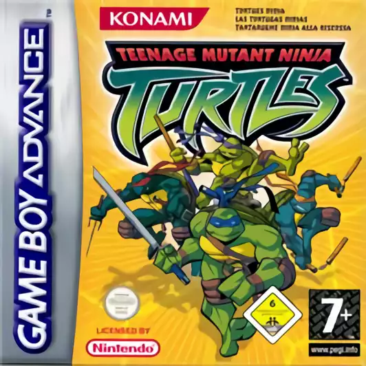 Image n° 1 - box : Teenage Mutant Ninja Turtles