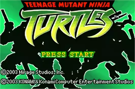 Image n° 5 - titles : Teenage Mutant Ninja Turtles