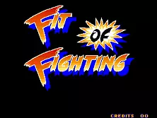 jeu Fit of Fighting