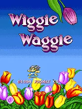 ROM Wiggie Waggie