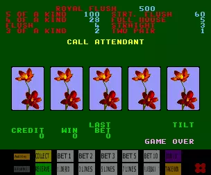 jeu Wild One (4VXEC5357, New Zealand)