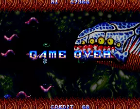 Image n° 2 - gameover : Salamander 2 (ver JAA)