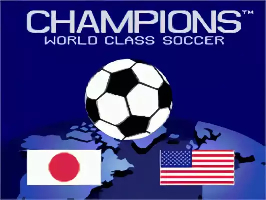 Image n° 10 - titles : Champions World Class Soccer