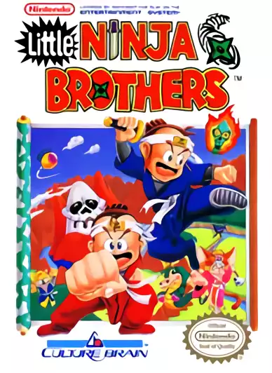 Image n° 1 - box : Little Ninja Brothers