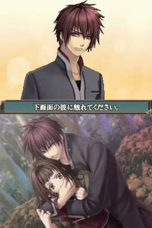 Image n° 5 - screenshots  : Hiiro no Kakera DS