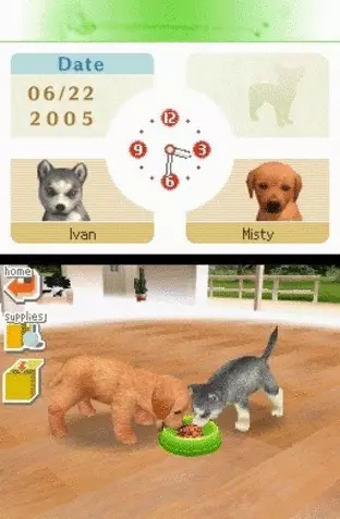 Image n° 3 - screenshots  : Nintendogs - Chihuahua & Friends