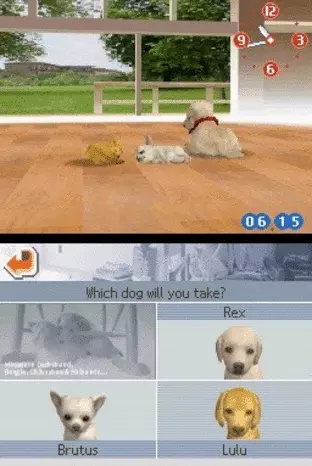 Image n° 5 - screenshots  : Nintendogs - Chihuahua & Friends