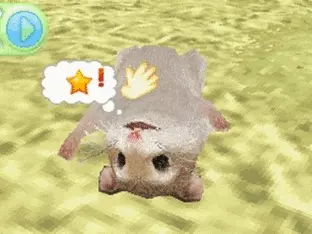 Image n° 3 - screenshots  : Petz - Hamster Superstar