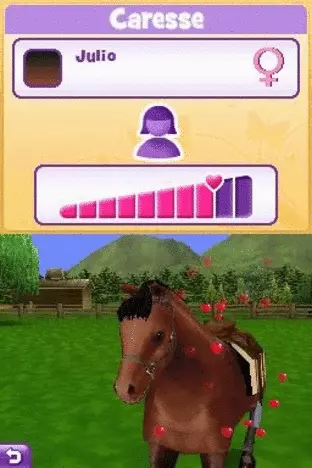 Image n° 5 - screenshots  : Pony Friends 2