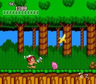 Image n° 5 - screenshots  : New Adventure Island