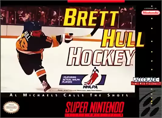 Image n° 1 - box : Brett Hull Hockey