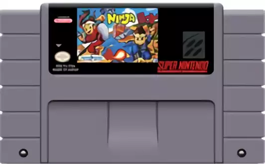 Image n° 2 - carts : Super Ninja Boy