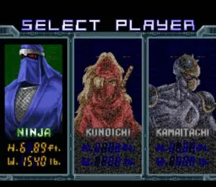 Image n° 2 - screenshots  : Ninja Warriors, The