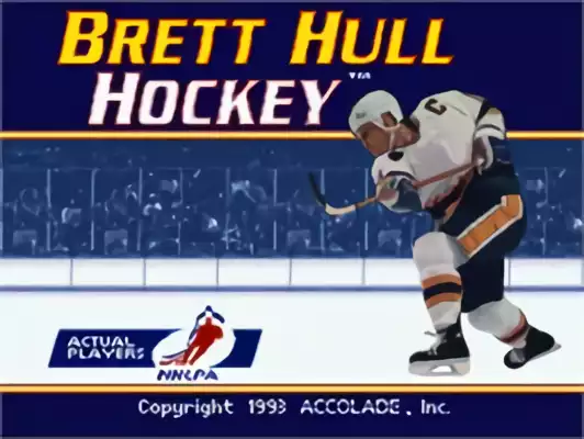 Image n° 10 - titles : Brett Hull Hockey