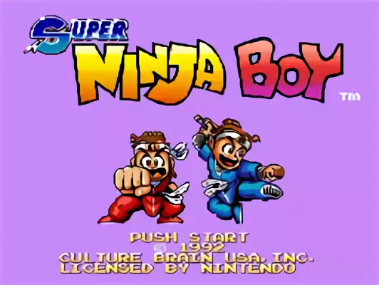 Image n° 10 - titles : Super Ninja Boy